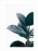 Yeşil Bitki Aşkı N1 - Art Print